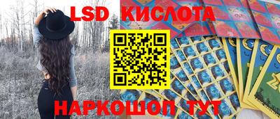 apvp Кимры